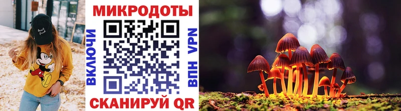 Псилоцибиновые грибы Cubensis  Купить где  Новоаннинский 